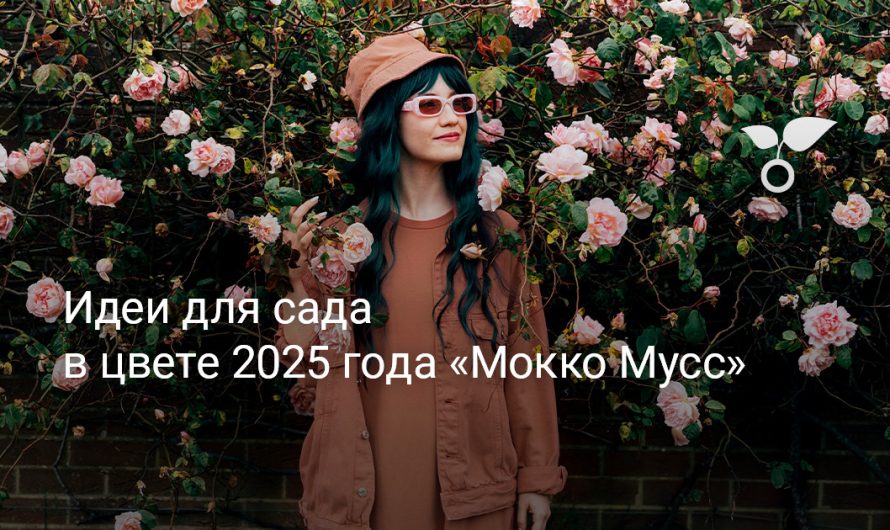 Garden Ideas in 2025 Color of the Year “Mocha Mousse”