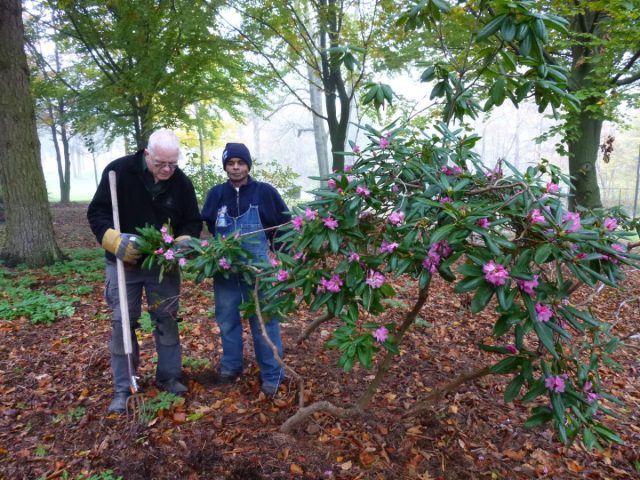 Mulch retains moisture in the soil, suppresses weeds and enriches the substrate with humus.