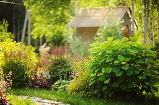 12 mistakes of beginning gardeners