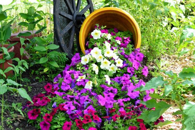 Flower stream, can be tied to imitation of water, but the choice of plants is not limited to blue and light blue colors