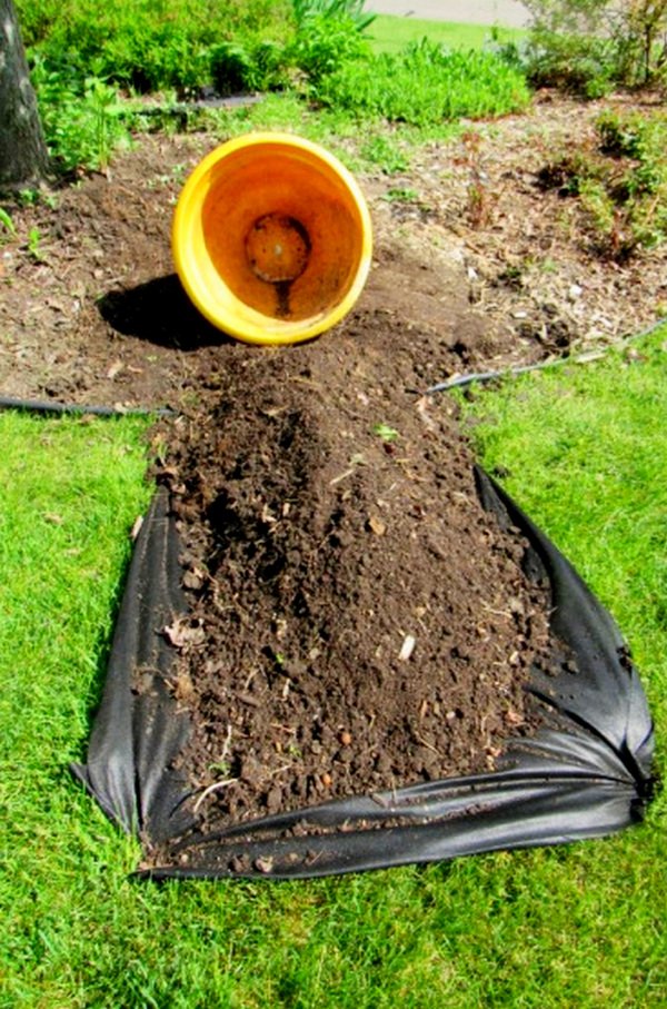 Arrangement of a flowerbed-"stream"