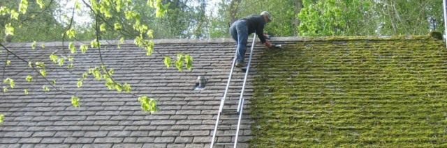 Mechanical cleaning of tiles from moss