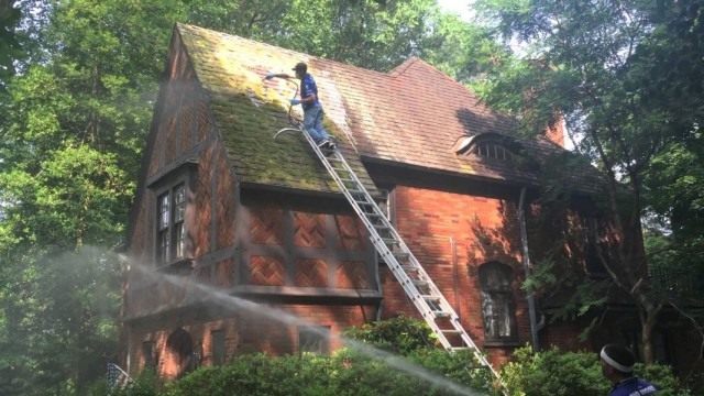 Cleaning moss from a tiled roof