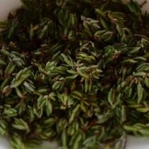 Thyme