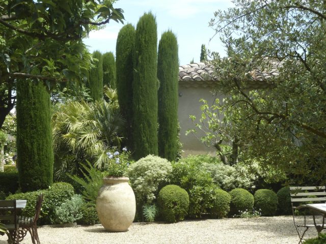Cypresses are too heat-loving, but you can replace them with thujas of various species