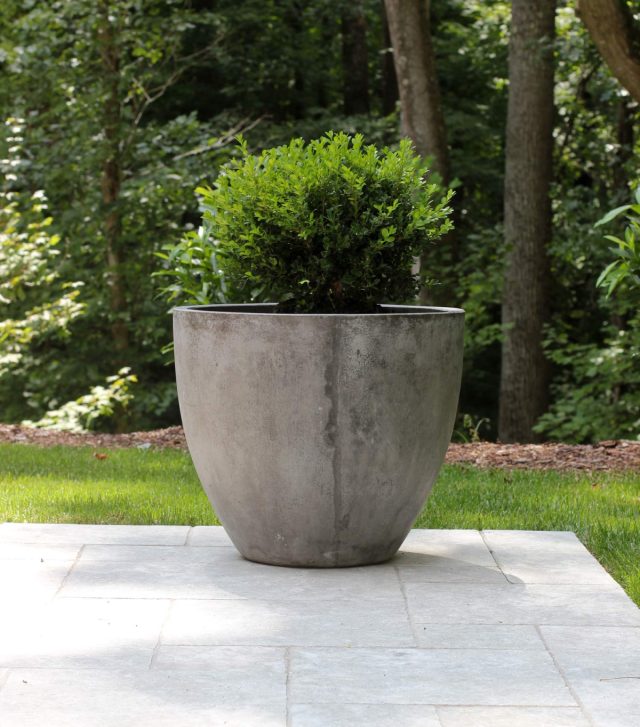 A large floor planter is suitable for dwarf forms of coniferous plants