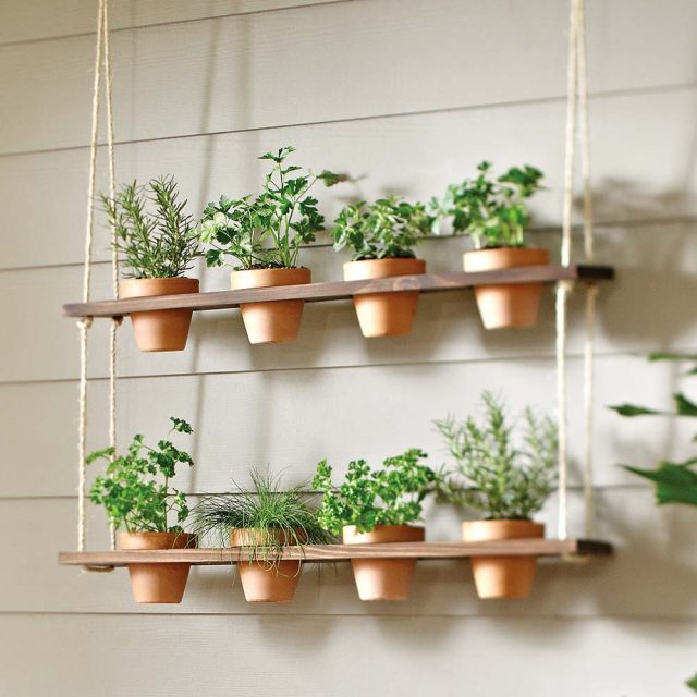 To save space or for the sake of originality, you can organize a hanging garden.