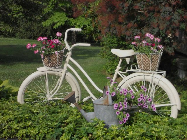 An old bicycle can also be useful, just paint it and put it in a flower bed.