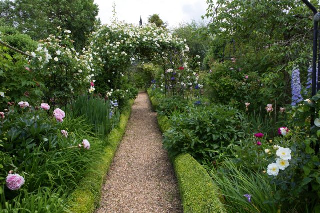 Borders or a whole hedge along the path will add a romantic atmosphere.