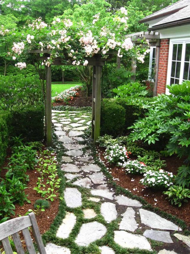 A stone path is the best thing that can emphasize the aesthetics of Provence