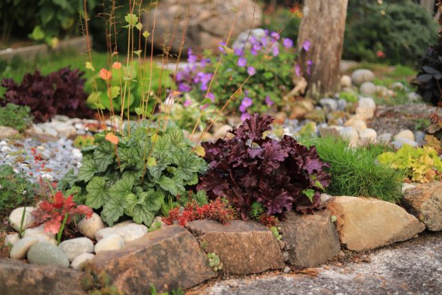 30 Perennials for a Vibrant Flowerbed