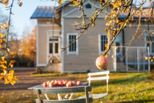 8 Main Rules for Caring for Fruit Trees in Autumn