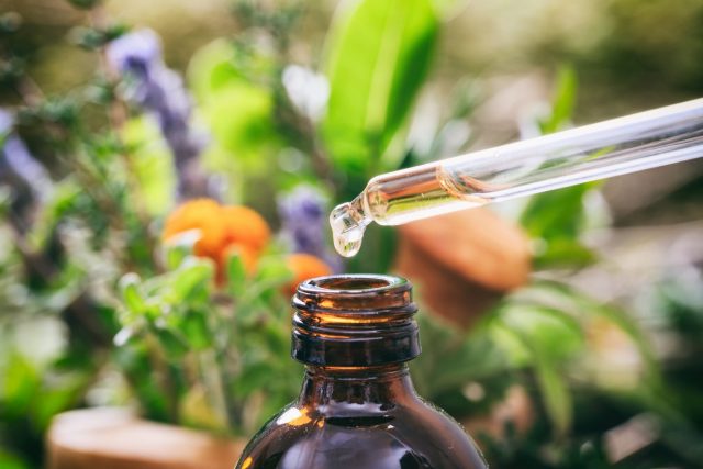 The best folk substitutes for insecticides and fungicides