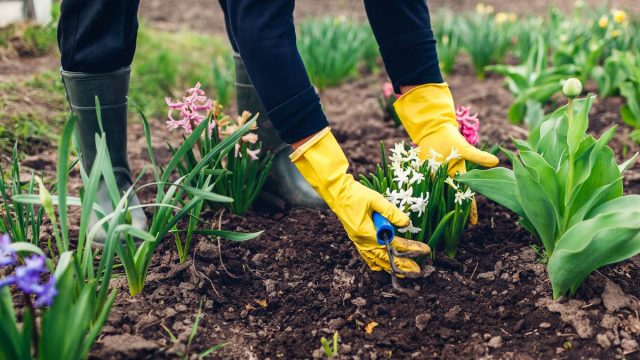 What should a gardener remember to do in April?