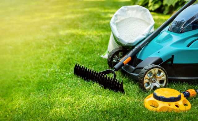 How not to deprive yourself of the perfect lawn – the main mistakes