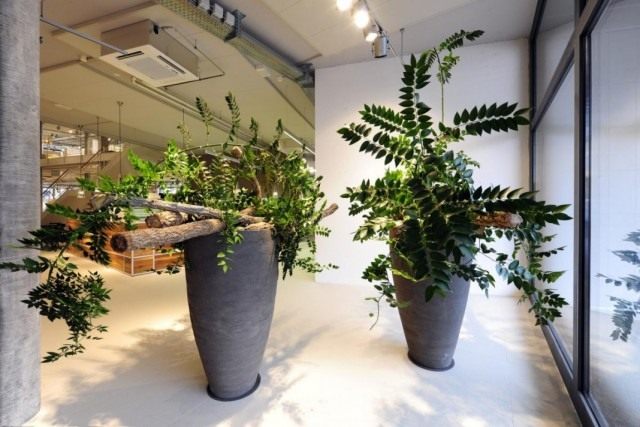 The Best Low-Maintenance Plants for the Office