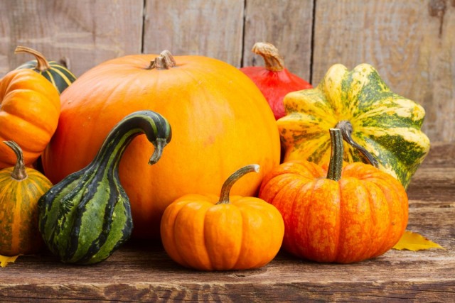The best new varieties and hybrids of pumpkin