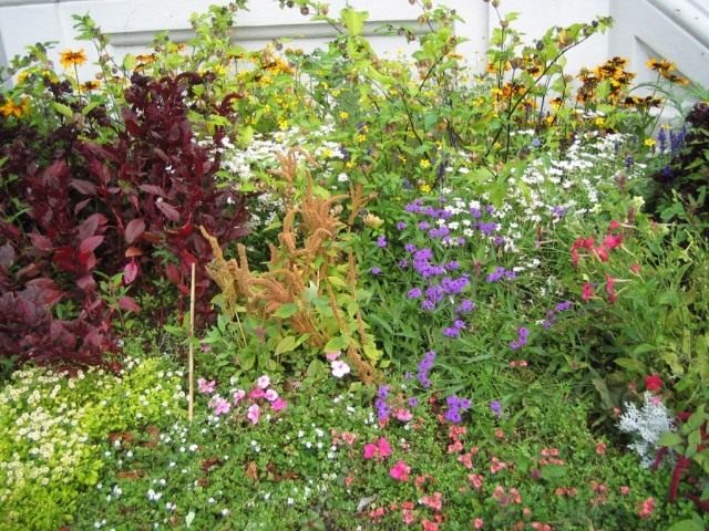 Flower beds, site features and plant selection