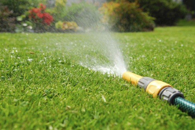 Watering, fertilizing and airing the lawn