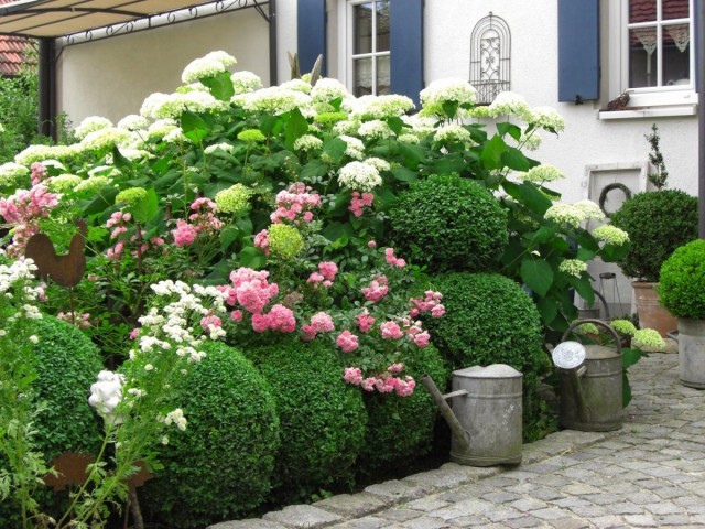 Cottage garden – features of organization