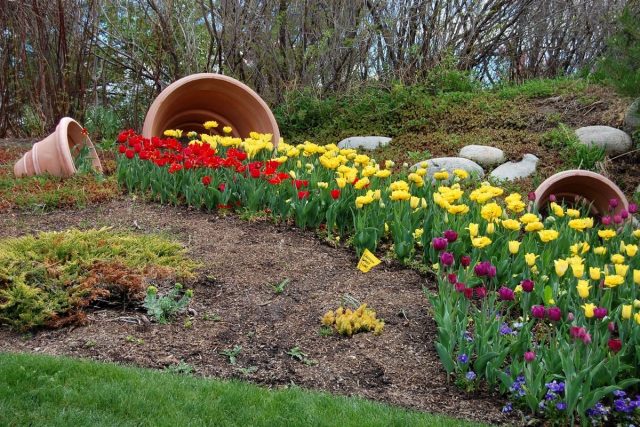Fashionable flower beds-“streams” – what are they and how to create them?