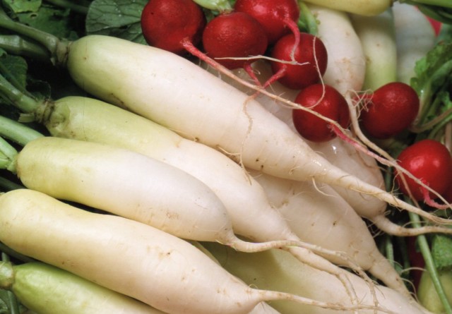 Radish – what types there are and how to grow them